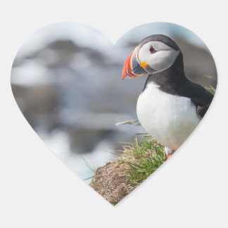 Puffin Herz-Aufkleber