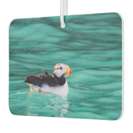 Puffin in der Auferstehungsbucht, Alaska Autolufterfrischer