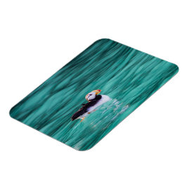 Puffin in der Auferstehungsbucht, Alaska Magnet