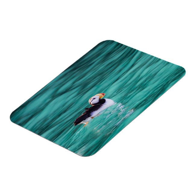 Puffin in der Auferstehungsbucht, Alaska Magnet (Linke Seite)