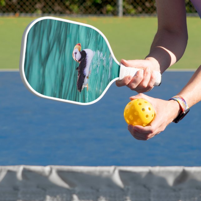 Puffin in der Auferstehungsbucht, Alaska Pickleball Schläger (InSitu)