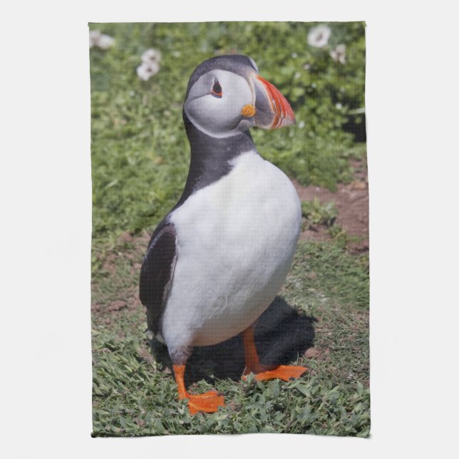 Puffin Küchentuch (Vertikal)