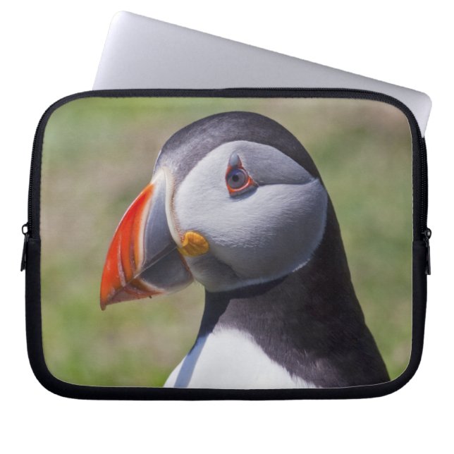 Puffin Laptop Sleeve (Vorderseite)