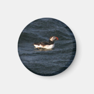 Puffin Magnet
