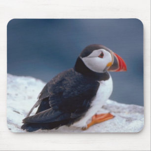 Puffin Mousepad