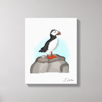 Puffin, niedlich
