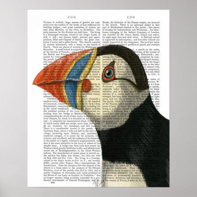 Puffin Portrait Poster (Vorne)