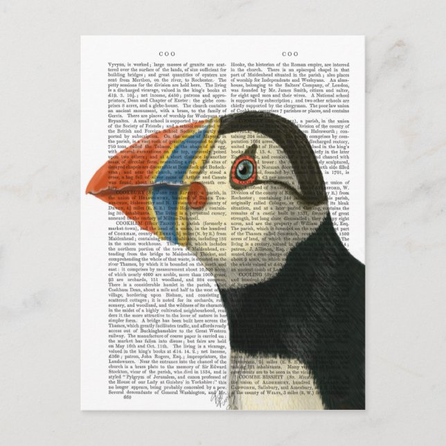 Puffin Portrait Postkarte (Vorderseite)