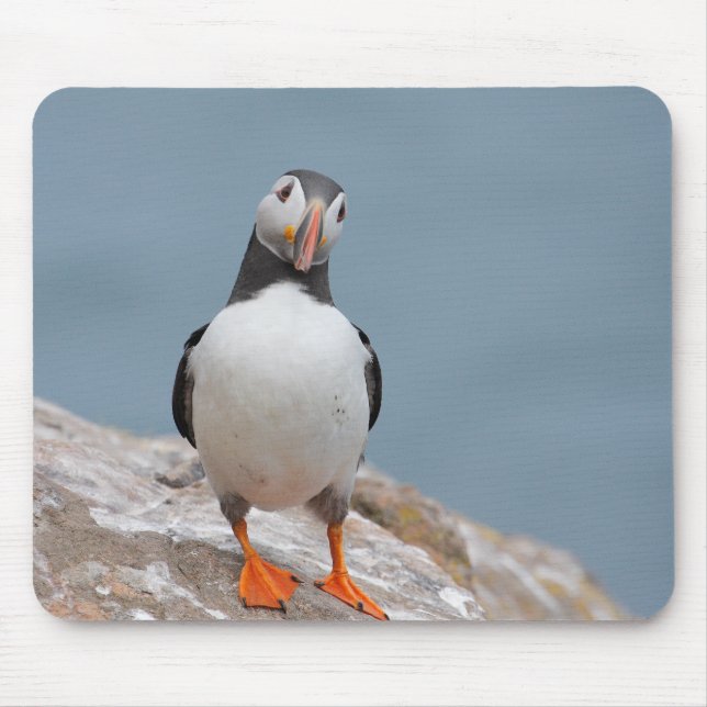 Puffin-Pose Mousepad (Vorne)