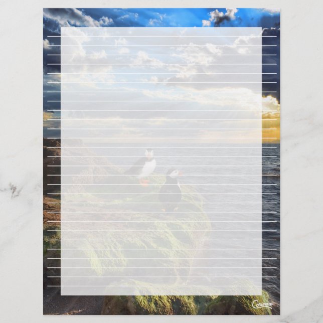 Puffin Rock Lined - 8,5" x 11" Stationierblech (Vorderseite)