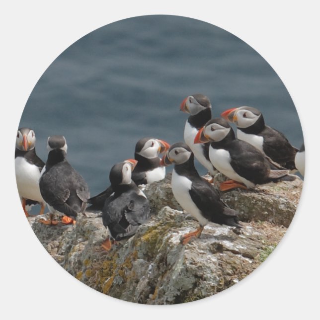 Puffin Runder Aufkleber (Vorderseite)