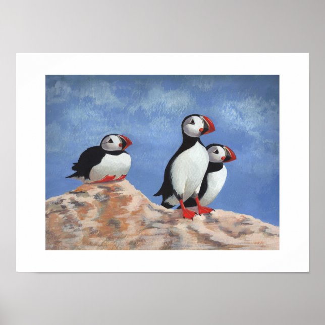 Puffin Trio Poster (Vorne)