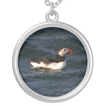 Puffin