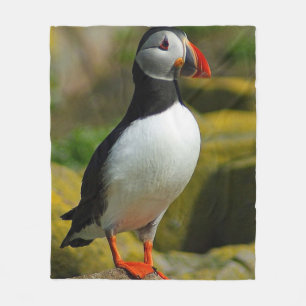 Puffin-Vogel-Fleece-Decke Fleecedecke