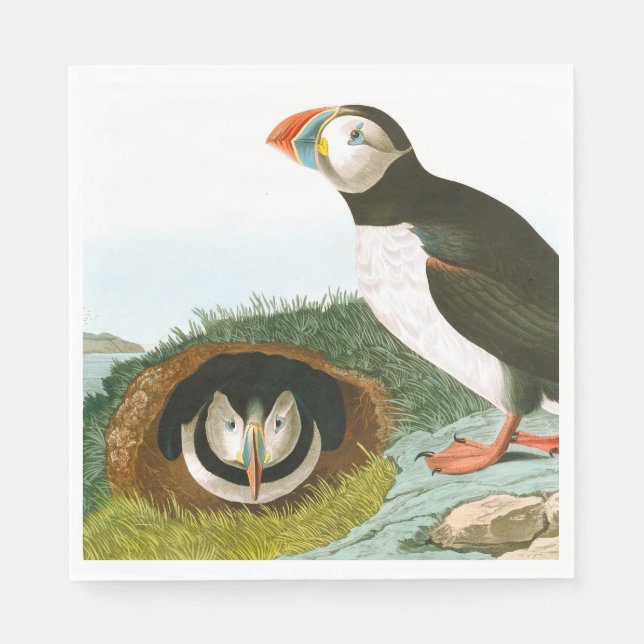 Puffin von John James Audubon Serviette (Vorderseite)