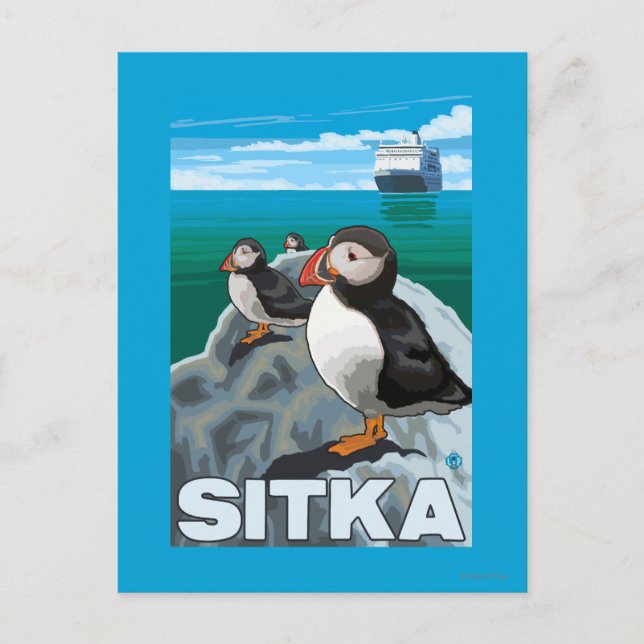 Puffins & Kreuzfahrtschiff - Sitka, Alaska Postkarte (Vorderseite)