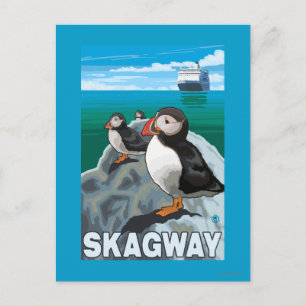 Puffins & Kreuzfahrtschiff - Skagway, Alaska Postkarte