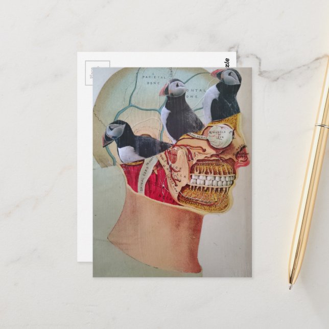 Puffins on the Brain Surreal mixed media collage  Postkarte (Vorderseite/Rückseite Beispiel)
