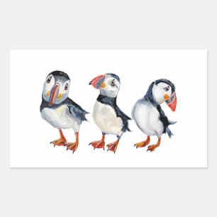 Puffins Rechteckiger Aufkleber
