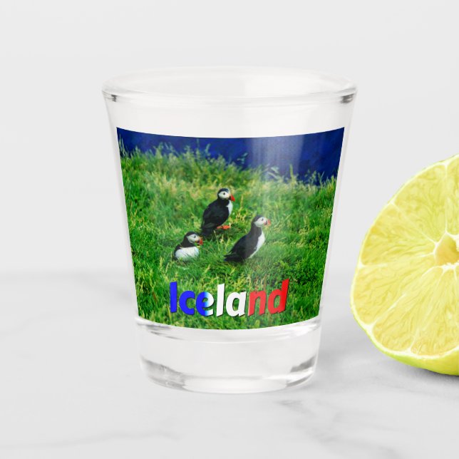 Puffins Schnapsglas (Vorderseite)