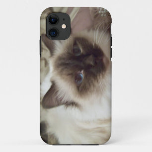 Puffo the cat I-Phone case