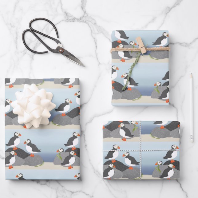 Puffsack-Papierblätter Geschenkpapier Set (Vorderseite)