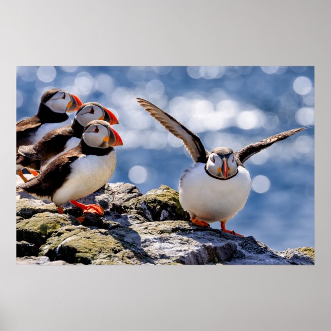 Puffsposter Poster (Vorne)