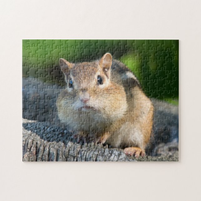 Puffy Cheeked Chipmunk Puzzle (Horizontal)