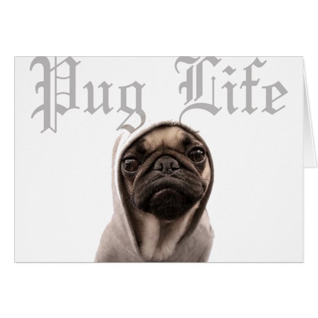 Pug (Vorderseite (Horizontal))
