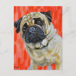 Pug 0range postkarte