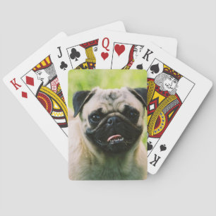 pug-13 spielkarten