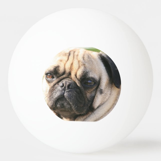 pug-18 tischtennisball (Vorderseite)