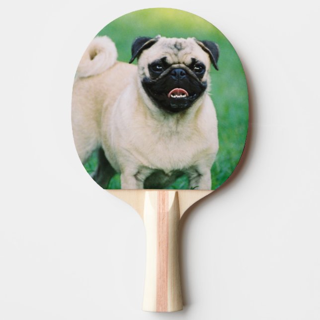 pug-30.jpg tischtennis schläger (Vorderseite)