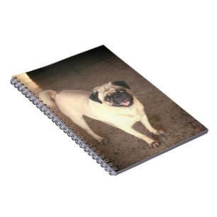 Pug design notebook ,(80 Seiten) Notizblock