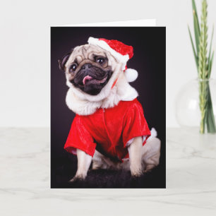 pug dog feiertagskarte