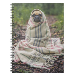 Pug in a Blanket Spiral Notebook Notizblock