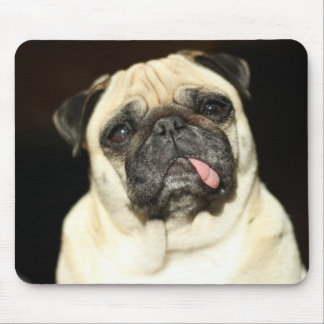 pug mousepad