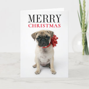 Pug Puppy with Christmas Bow Feiertagskarte