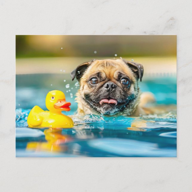 Pug Swimming with Rubber Duck in Pool Postkarte (Vorderseite)