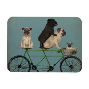 Pug Tandem Magnet