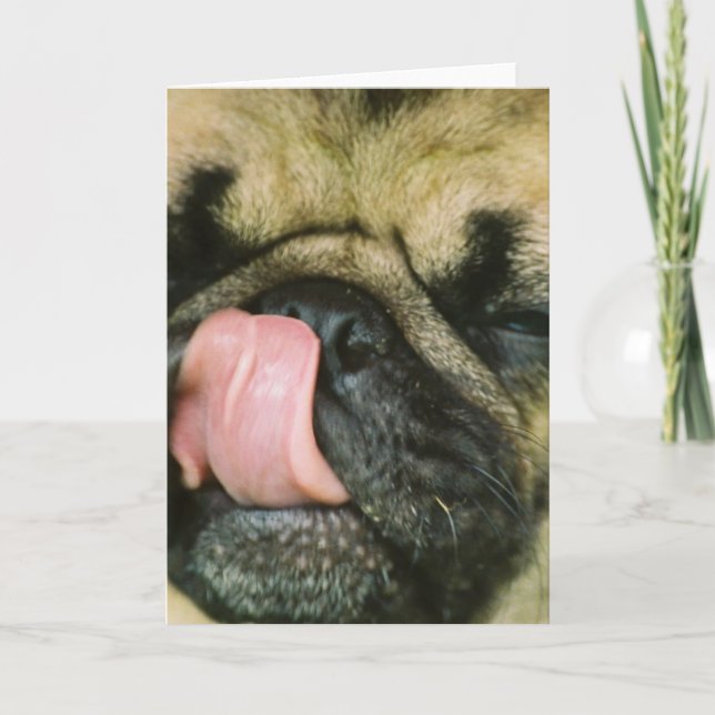 Pugalicious Greycard Karte (Vorderseite)