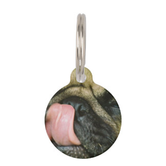 Pugalicious Tiermarke