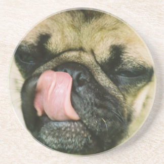 Pugalicious Untersetzer