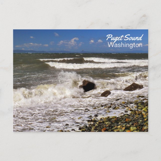 Puget Sound Washington Beach Foto Postkarte (Vorderseite)