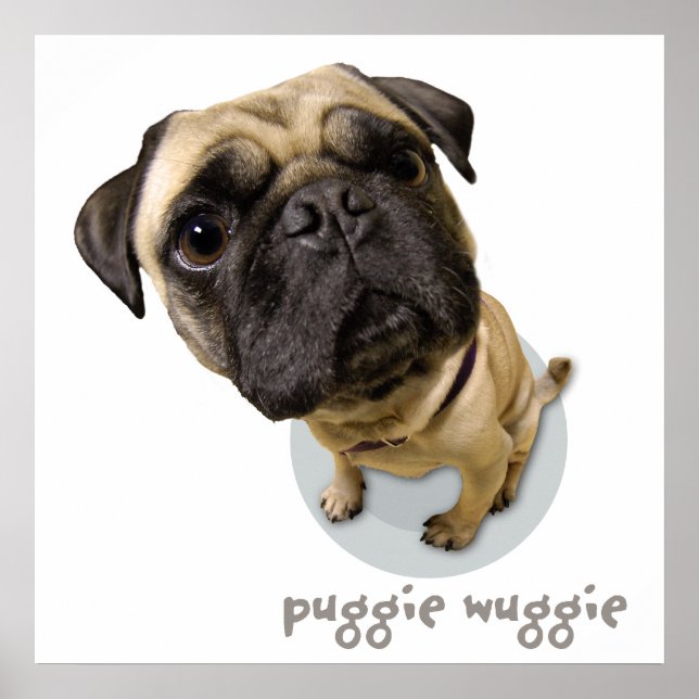 Puggie Wuggie Poster (Vorne)