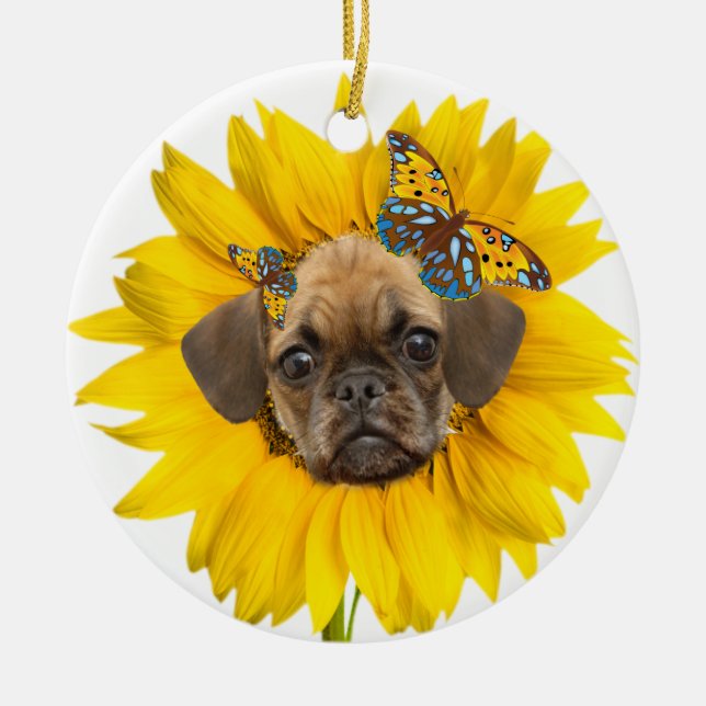Puggle Engels-Gänseblümchen Keramikornament (Vorne)