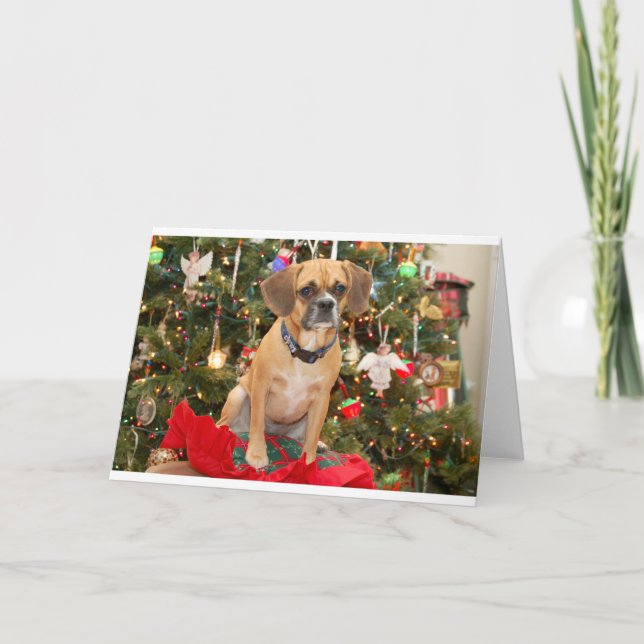 Puggle Feiertagskarte (Vorderseite)