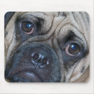 puggle Gesicht Mousepad