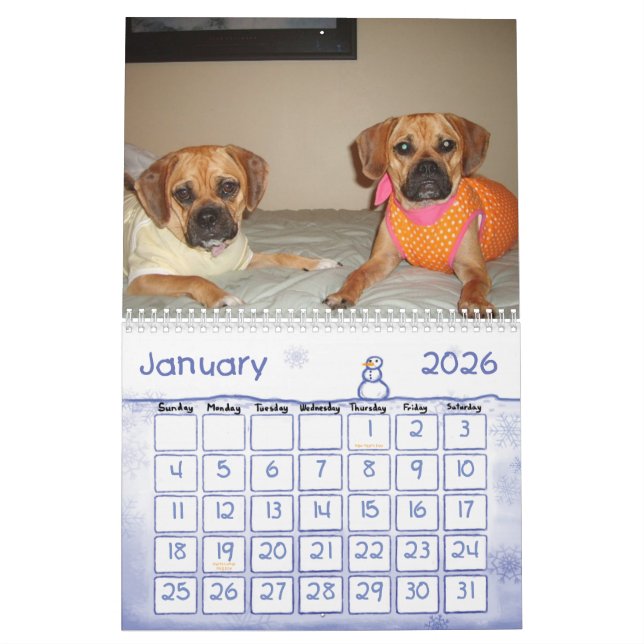 Puggle Kalender (Jan 2026)