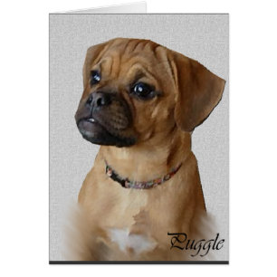 Puggle Lovers Geschenke